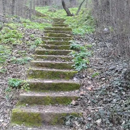 El Mirador Del Caslilla *